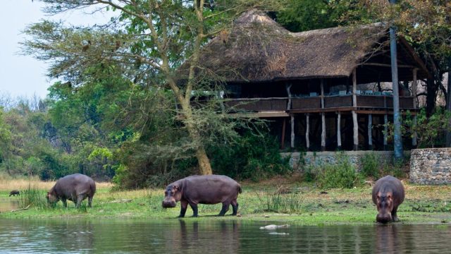 Mvuu Lodge