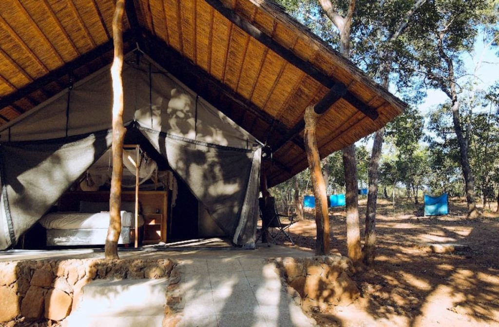 Livezi Bush Camp