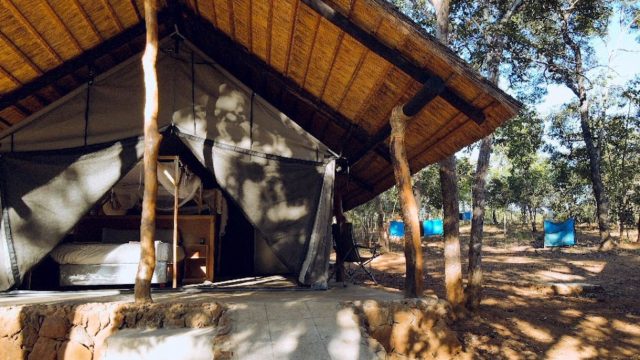 Livezi Bush Camp